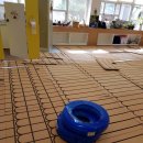 안동초등학교 이미지