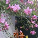 히트광고
