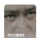 카카오톡 오픈채팅 근황 이미지