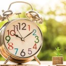 가평 캠핑 스마일 후기 (장점과 단점)