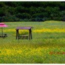 하늘정원1 이미지