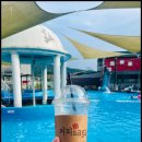 아델캐슬 이미지