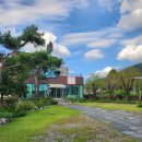 안녕, 고영희 이미지