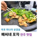 옥포포차 | 대구 달성군 옥포 미나리 삼겹살 배씨네포차 솔직후기
