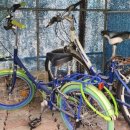 자전거보관소 이미지