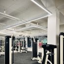 유엘피티 이미지