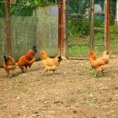 반장농장 이미지