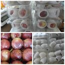 영암햇살농장 이미지