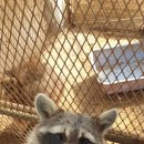 종해농장 이미지