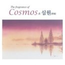 코스모스부동산중개 화이트페이퍼