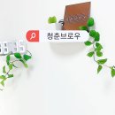 청춘브로우
