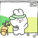 디디골프존