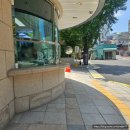 가나안관광농원여관 | 남대문 주말 무료 주차 꿀팁 대도꽃종합상가 꽃시장 위치 및 영업시간 꽃바구니 저렴한 곳 백합농원 추천