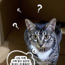 2020-03-0537 | [27] 대학일자리센터, pre-job 취업 동아리 모집