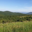 강원목장 이미지