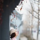 봄·여름·가을 코스 이미지