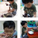송산건강원 - 의정부시 오목로15번길 30 | 송산건강원