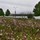 구리한강시민공원 이미지