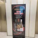 기마흔 일상블로그 / 더블 데이트를 넘어 트리플 데이트 도전!
