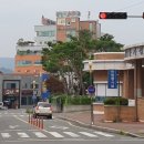 황궁쟁반짜장도원 이미지