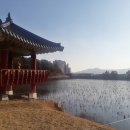 내곡동637 이미지