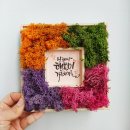 일상 속 캘리그라피 이미지