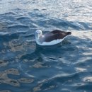 어린이 독서리더 4학년 이미지