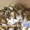 영월약초 - 안산시 상록구 | 영월약초