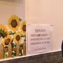 맛들임 | [약선오리] 안양 댕리단길 오리고기 오리주물럭 맛집 🐤 내돈내산 솔직후기