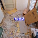 크린오포 이미지