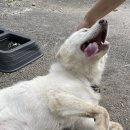 뉴무지개펜션 이미지