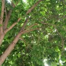 봉양4통마을회관 이미지