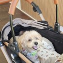 구목씨의 휴식 이미지