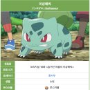 천개의이파리 | 식집사들의 천국 🌱🌿 / 파주 조인폴리아 반려동물 동반 가능 식물 분양 후기
