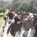 메가투어 - 광산구 첨단중앙로182번길 62 | 메가투어