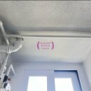 현진바이오 이미지