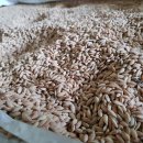 신촌정미소 이미지