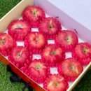 매일농장 이미지