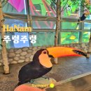 하남 주렁주렁 할인 및 주차 실내동물원 아기랑 갈만한곳 주말 후기