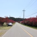 (주)복사꽃사람들 이미지