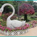 초안산 하늘꽃정원 이미지