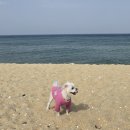 세인트존스호텔 이미지