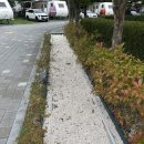 뫼골문화공원 농구장 | [직접후기] 한려해상국립공원 거제 학동 야영장 부대시설 총정리