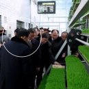 수장2농장 이미지