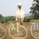 예삐농장 이미지