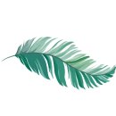 울알라애견미용 이미지