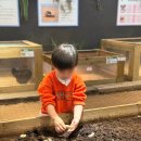 안골길 14 | 굼프로 곤충학습체험농장 양평 아이들과 함께놀기좋은곳 추천해요