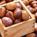 협성영농조합법인 이미지