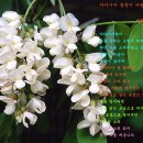 바림 이미지