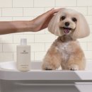 한국농수산식품유통공사 이미지